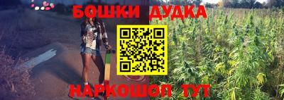 apvp Краснодар