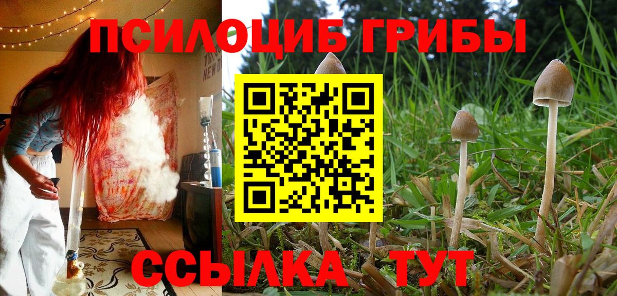 Псилоцибиновые грибы MAGIC MUSHROOMS  купить наркотики цена  Каменск-Шахтинский  Вход с VPN 