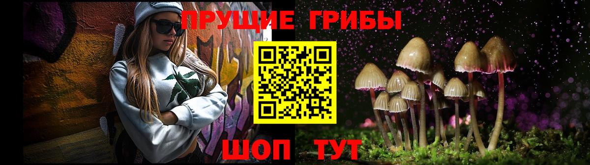Псилоцибиновые грибы Psilocybe Каменск-Шахтинский